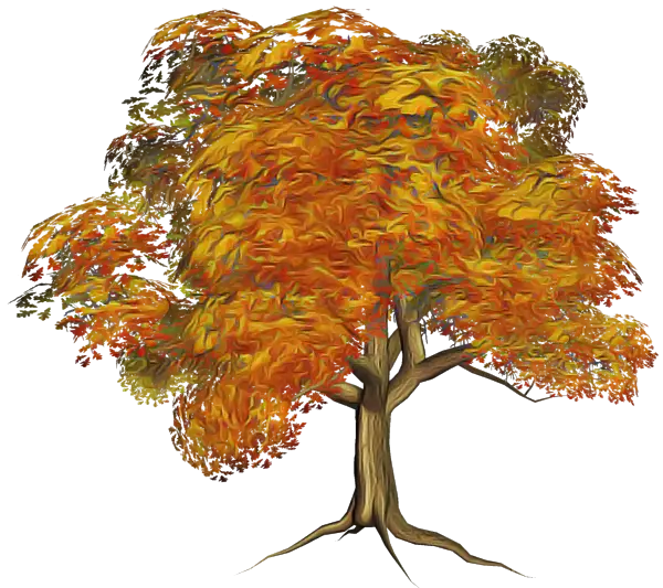 Autumn Tree with Orange Leaves