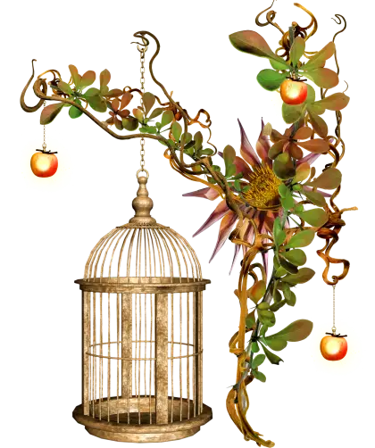 Birdcage Decoration with Floral Vines