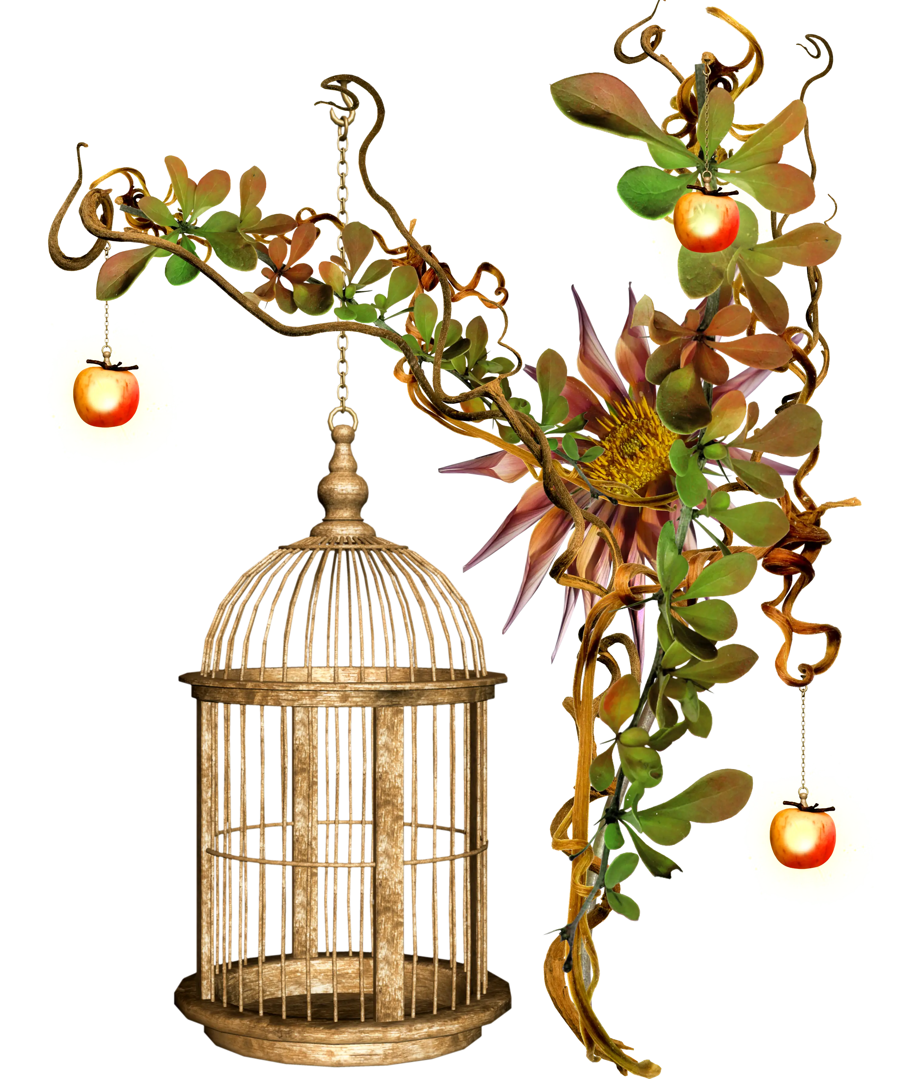 Birdcage Decoration with Floral Vines