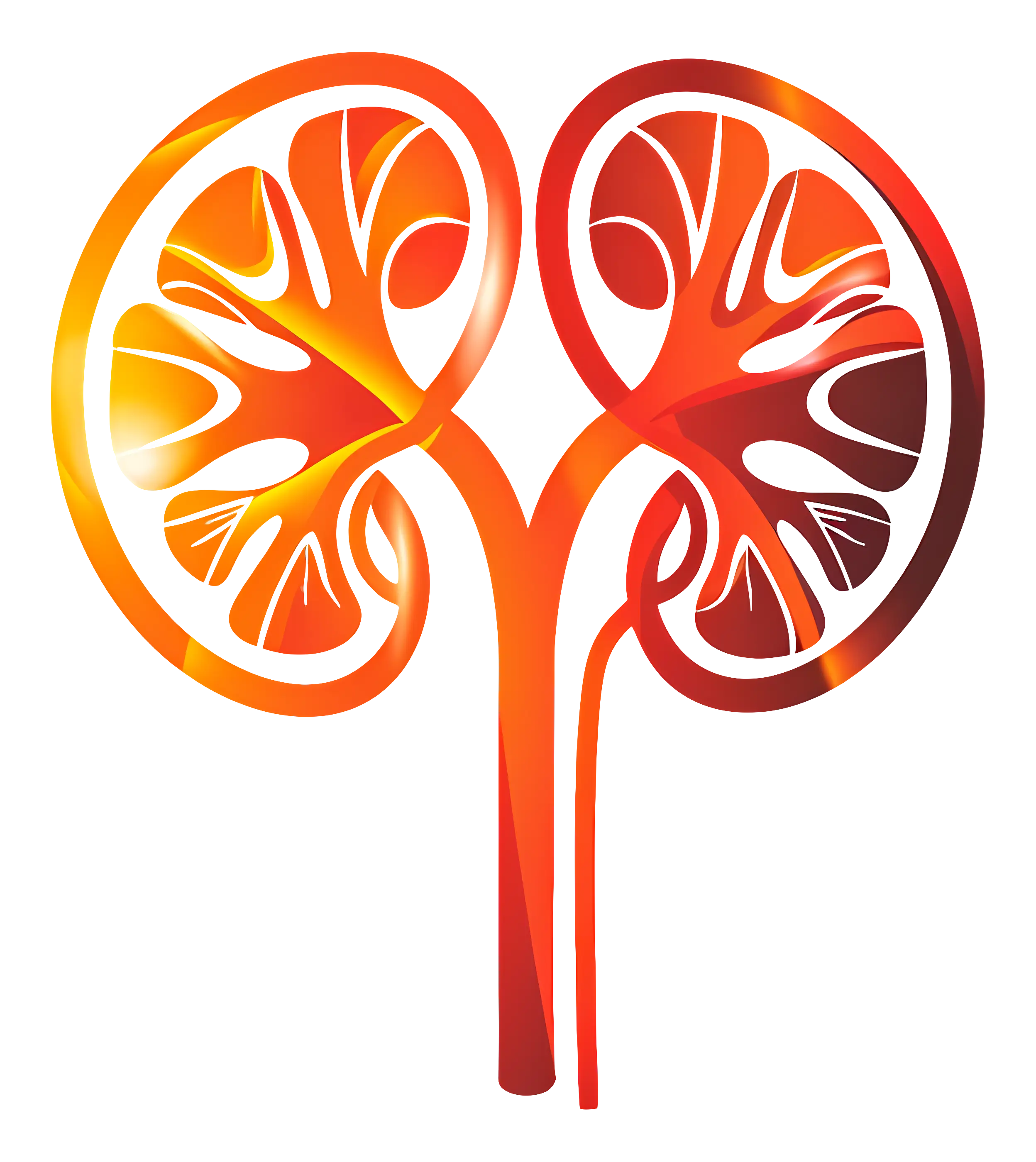Abstract Kidney Illustration