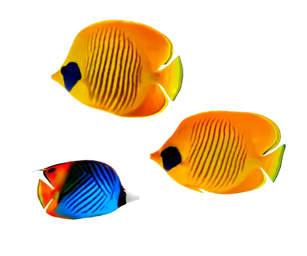 Colorful Butterflyfish in Oceanic Scene