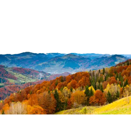 Autumn Landscape with Colorful Trees