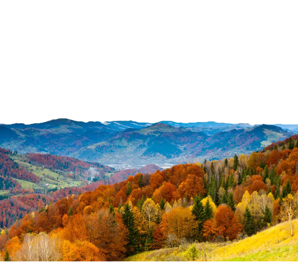 Autumn Landscape with Colorful Trees