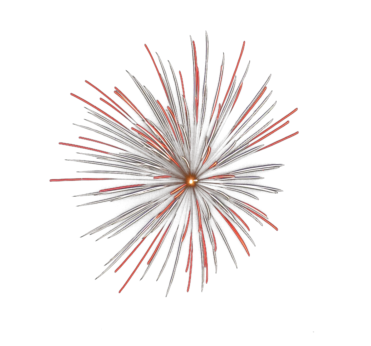 Colorful Firework Burst