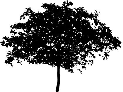 Black Tree Silhouette Illustration