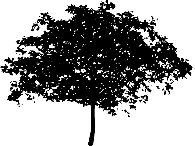 Black Tree Silhouette Illustration