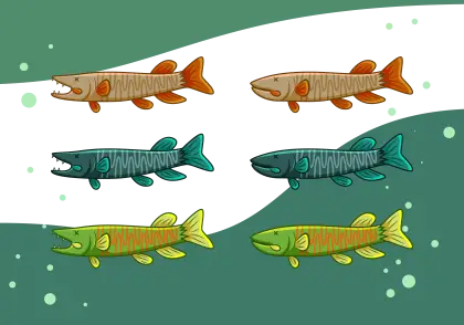 Colorful Fish in Water