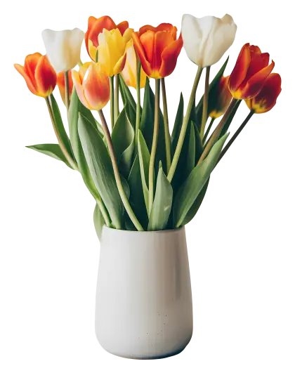 Tulips in White Vase Arrangement