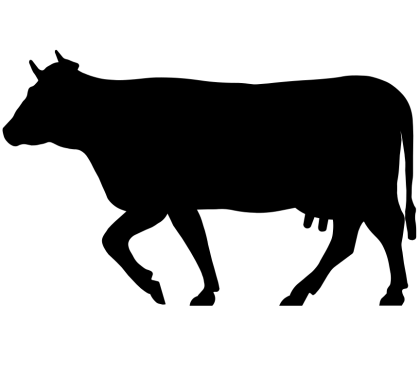 Silhouette of a Walking Cow