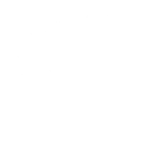 Intricate White Mandala Pattern Design