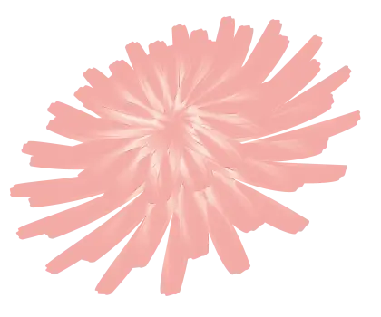 Pink Fluffy Pompom Illustration