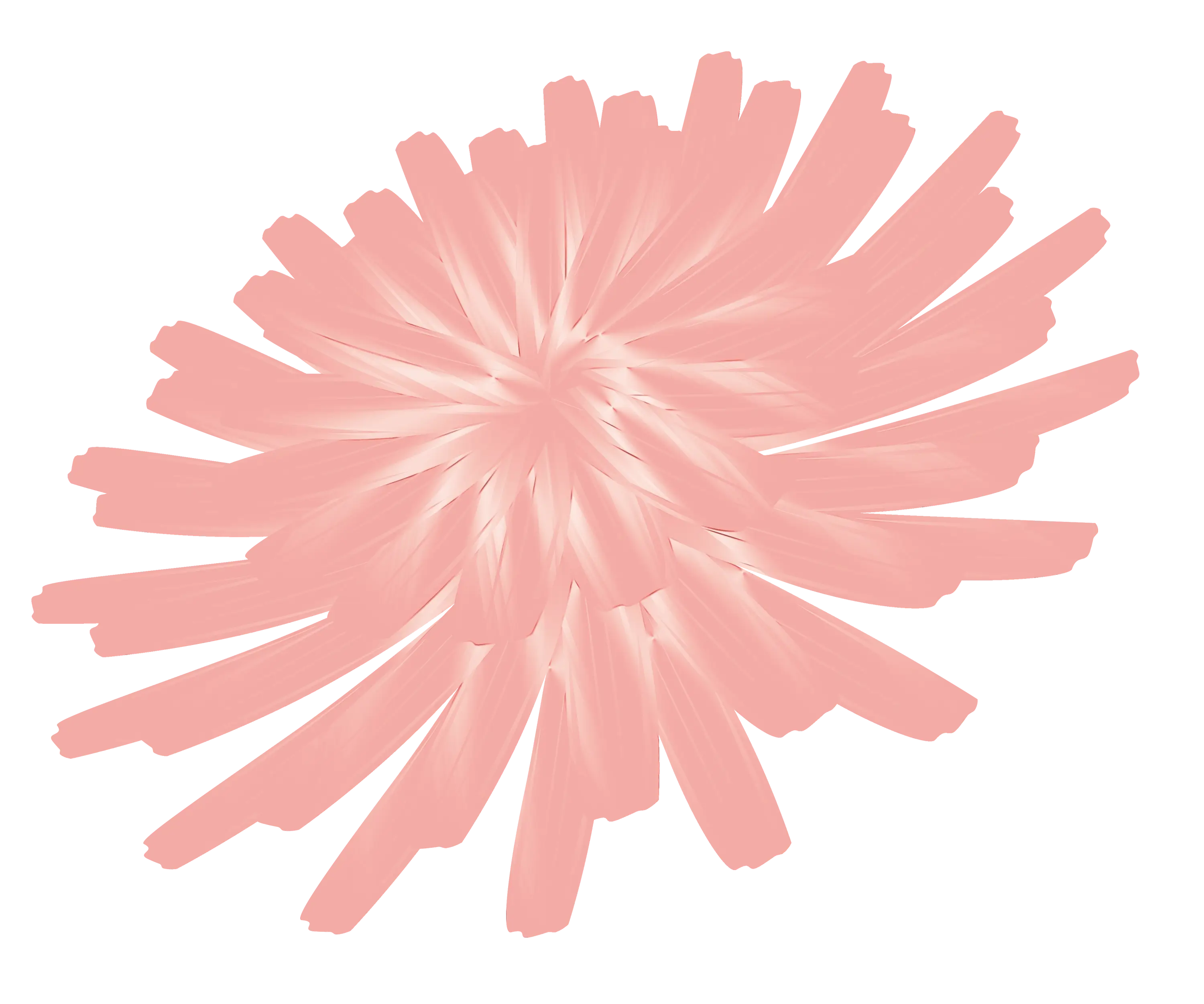 Pink Fluffy Pompom Illustration