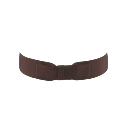 Brown Belt for Clothing