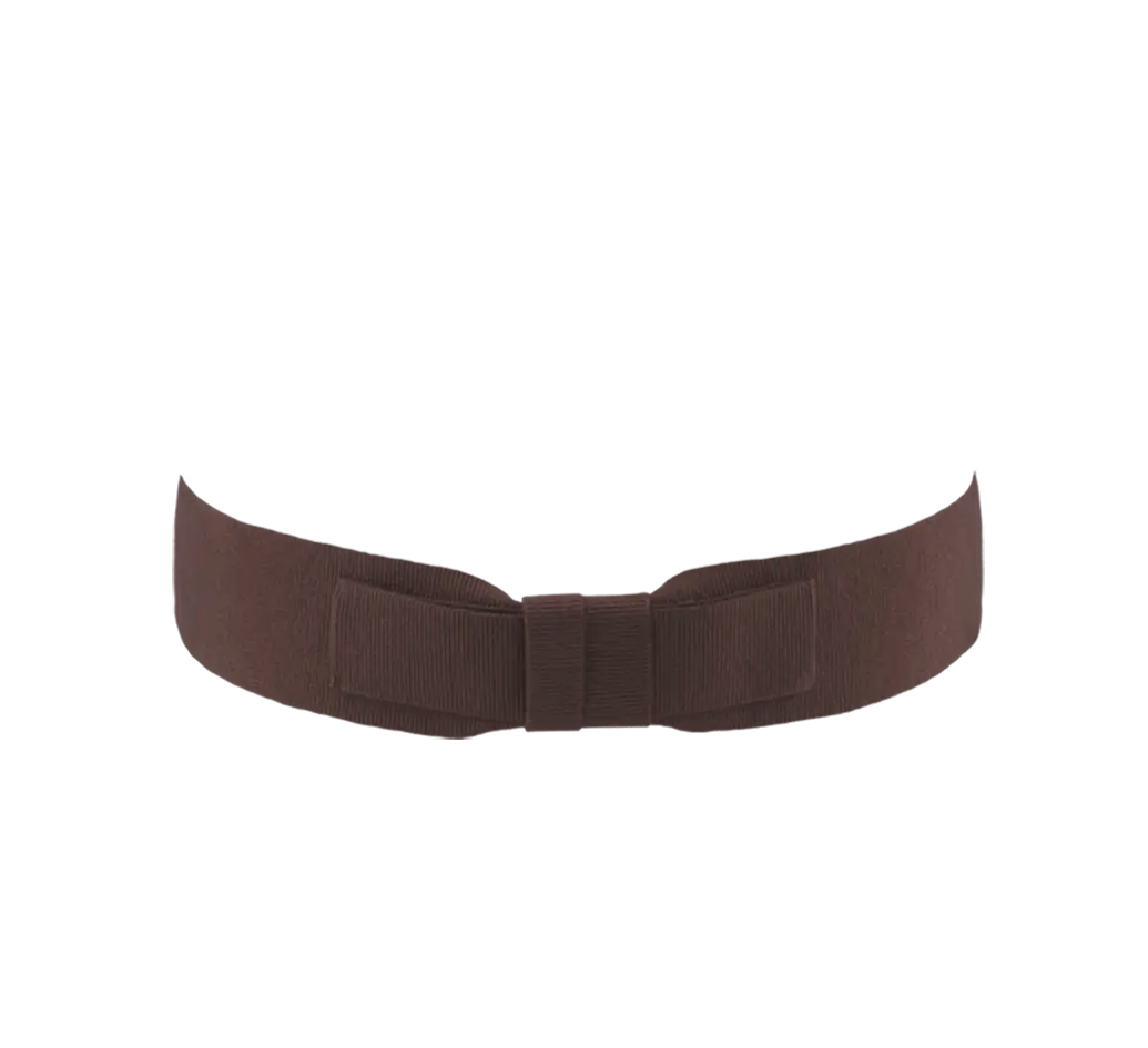 Brown Belt for Clothing