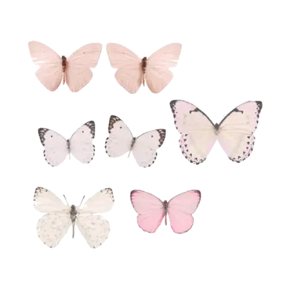 Colorful Butterflies Collection