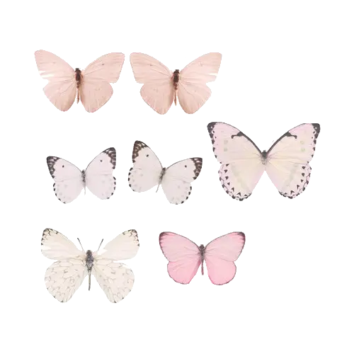 Colorful Butterflies Collection