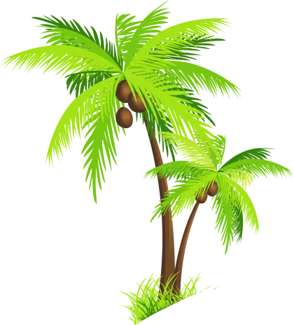 Coconut Palm Tree Illustration