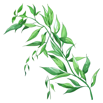 Green Leafy Branch