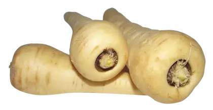 Fresh Organic Parsnips