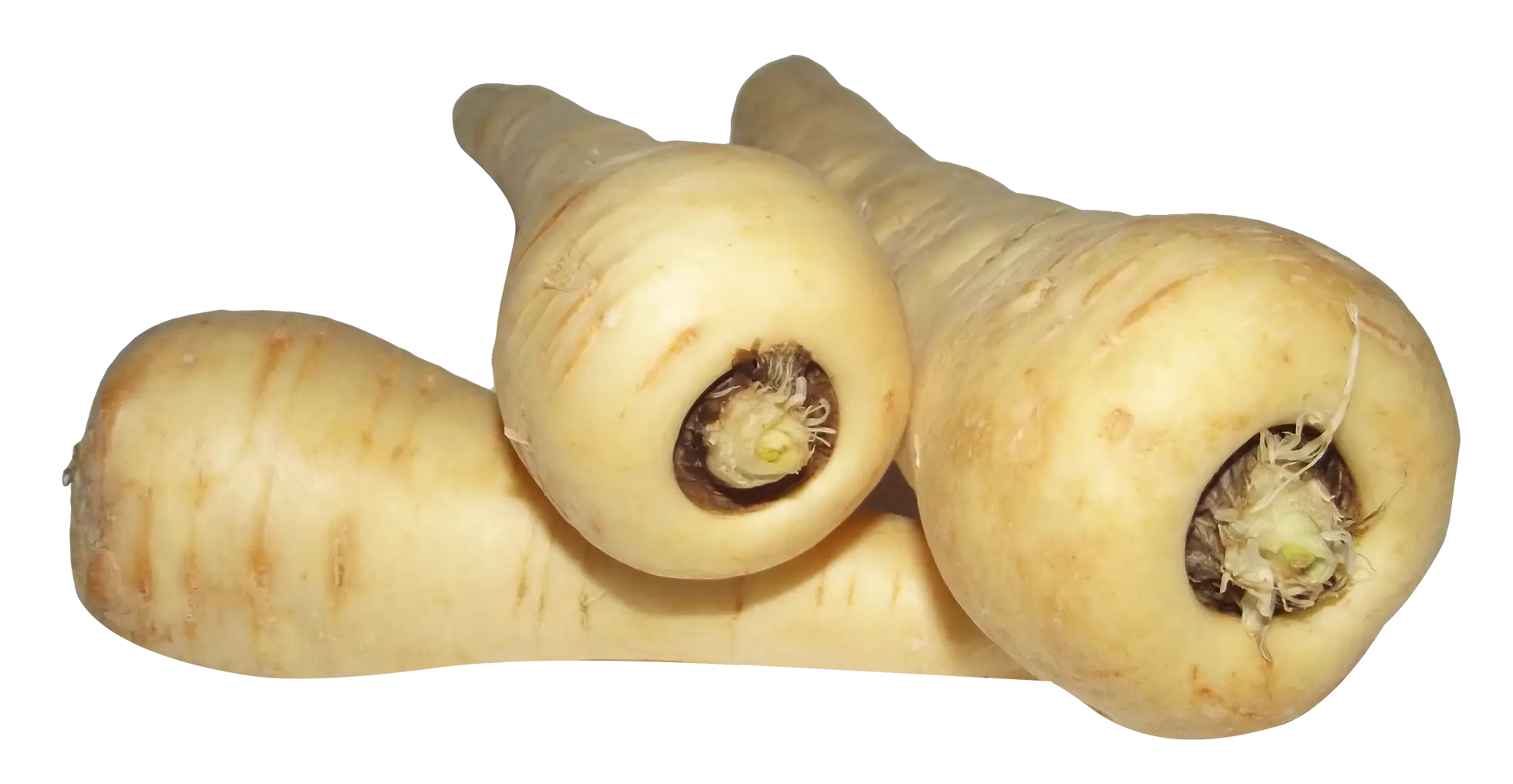 Fresh Organic Parsnips