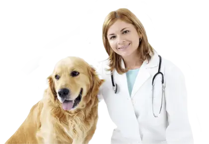 Veterinarian with Dog in Clinic