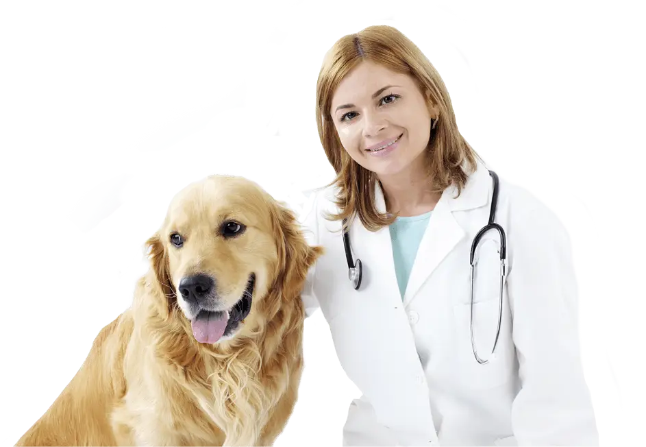 Veterinarian with Dog in Clinic