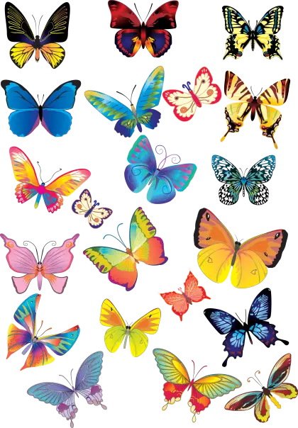 Assorted Colorful Butterflies Illustration