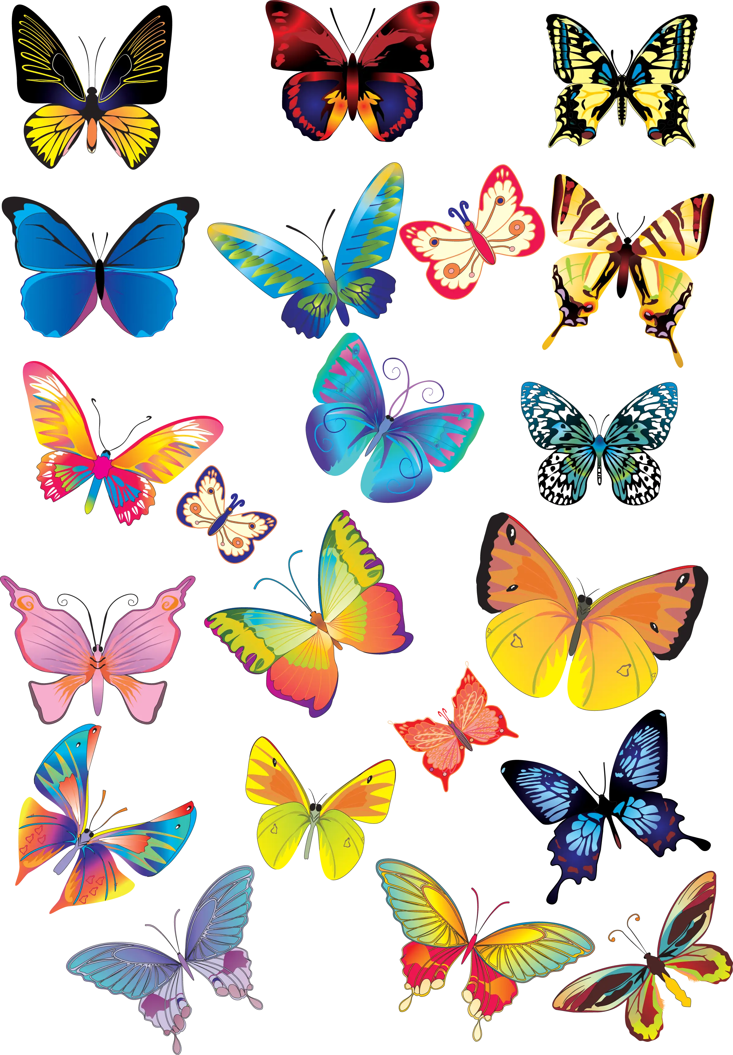 Assorted Colorful Butterflies Illustration
