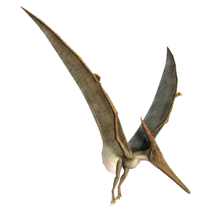 Flying Pterosaur Prehistoric Illustration