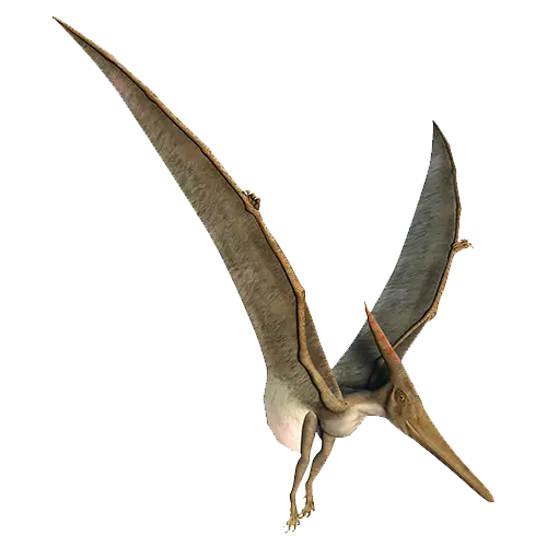 Flying Pterosaur Prehistoric Illustration