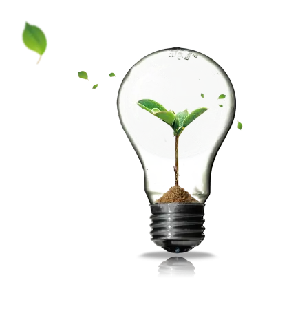 Eco-friendly Light Bulb with Plant Growth Illustration
