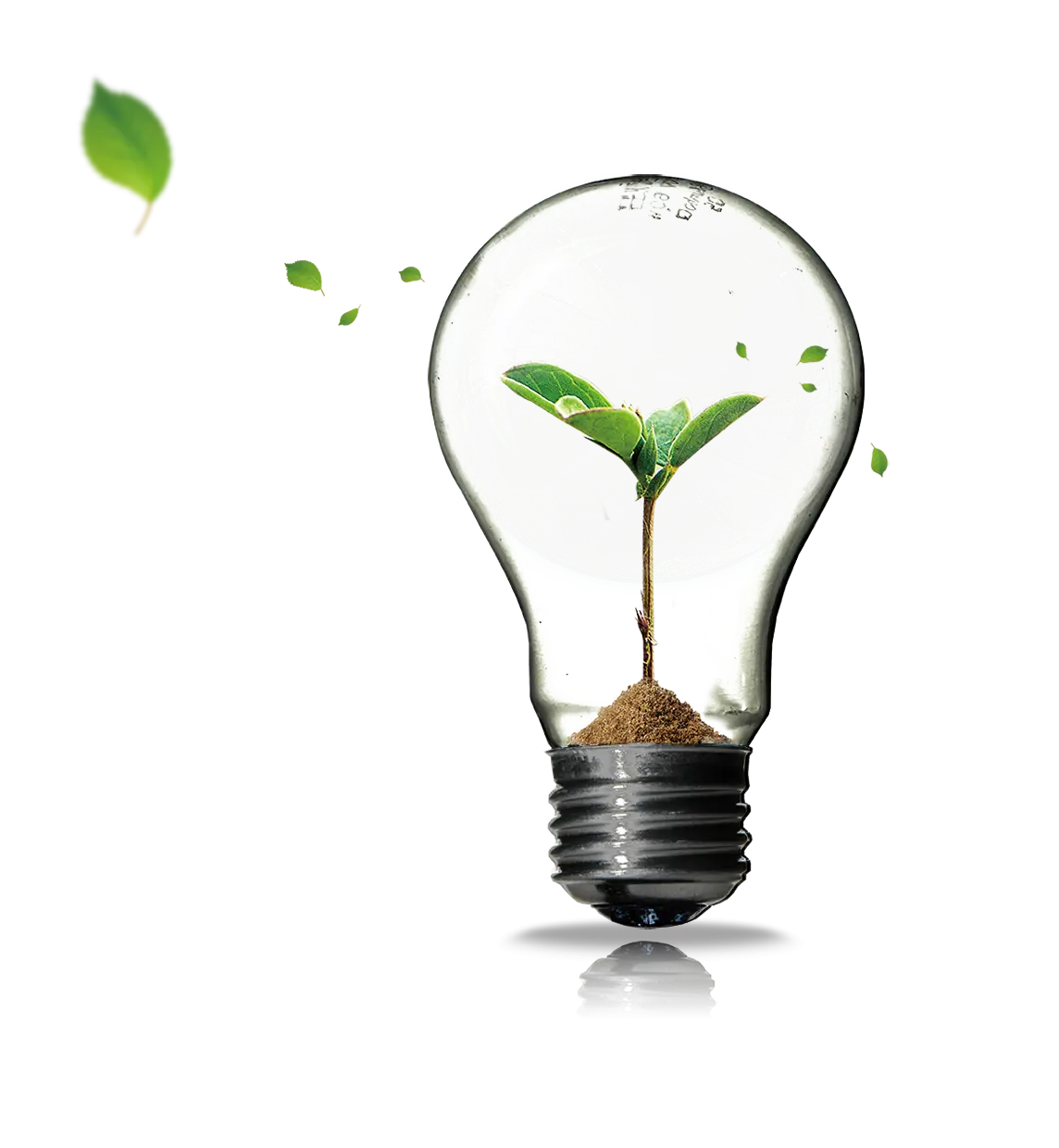 Eco-friendly Light Bulb with Plant Growth Illustration