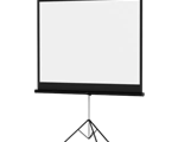 Projection Screen for Presentations