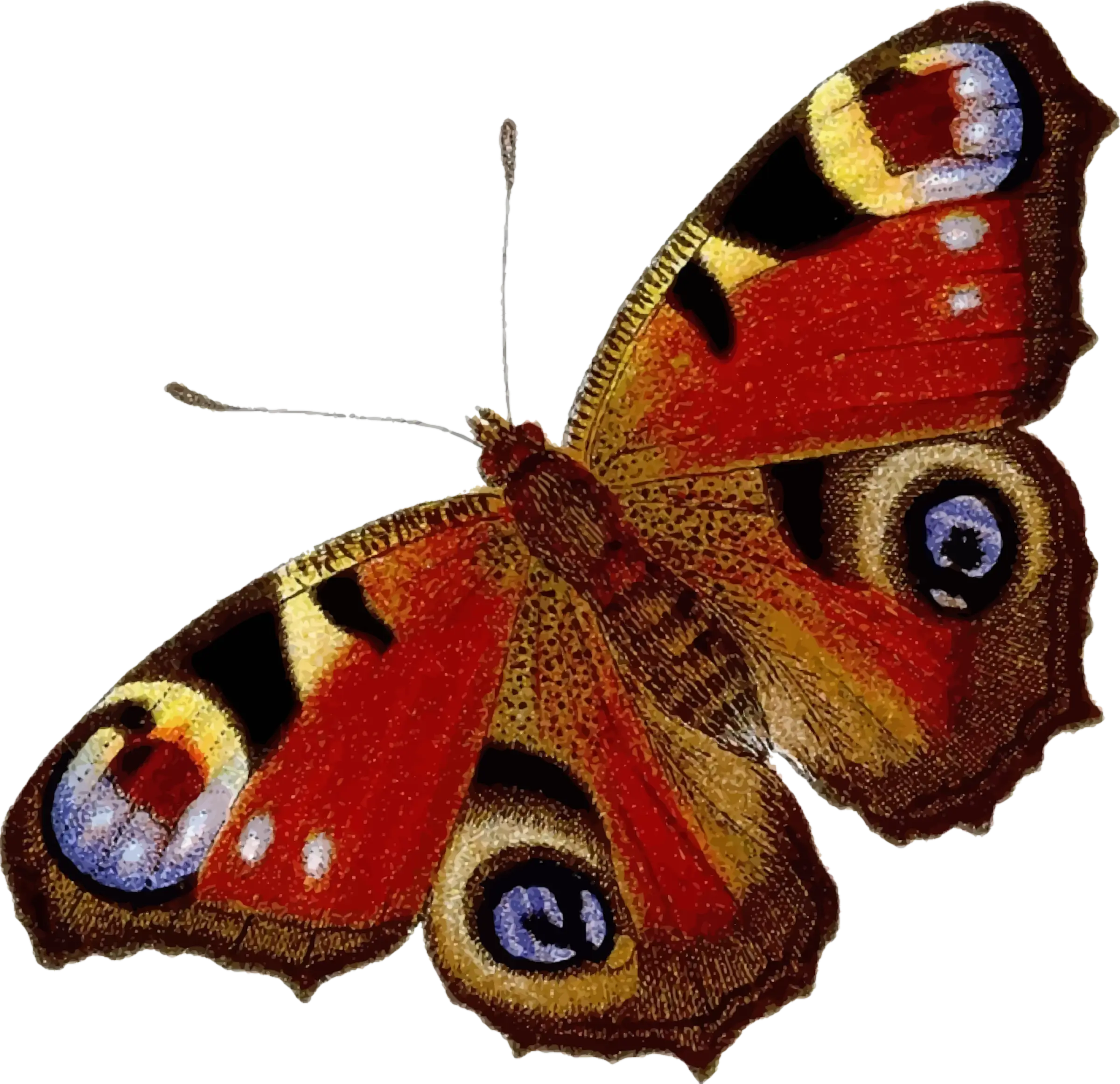 Red and Yellow Butterfly with Detailed Patterns