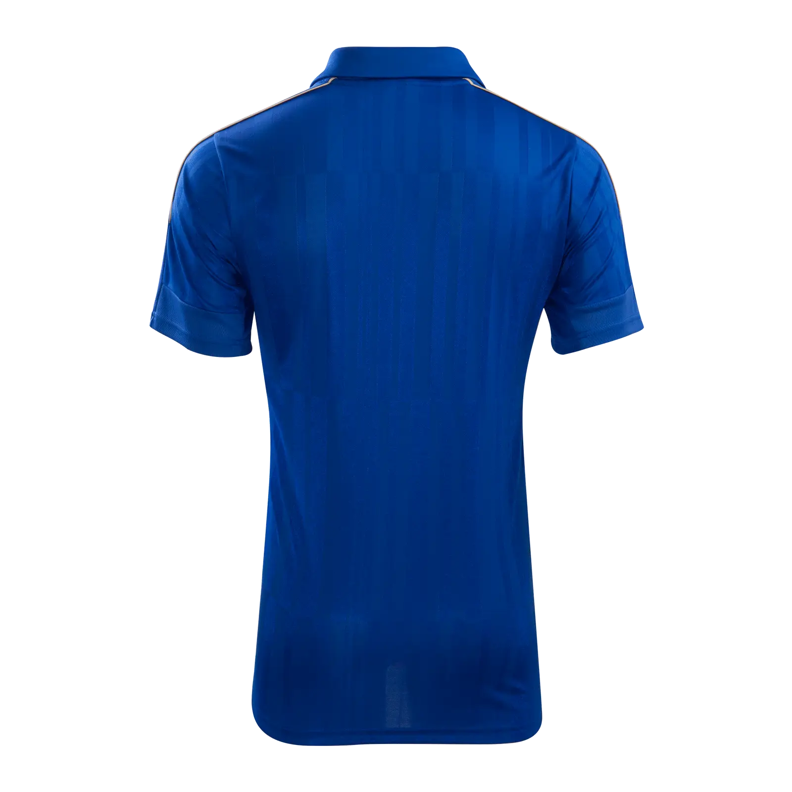 Blue Polo Shirt Back View