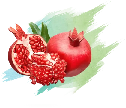 Vibrant Pomegranate Watercolor Illustration