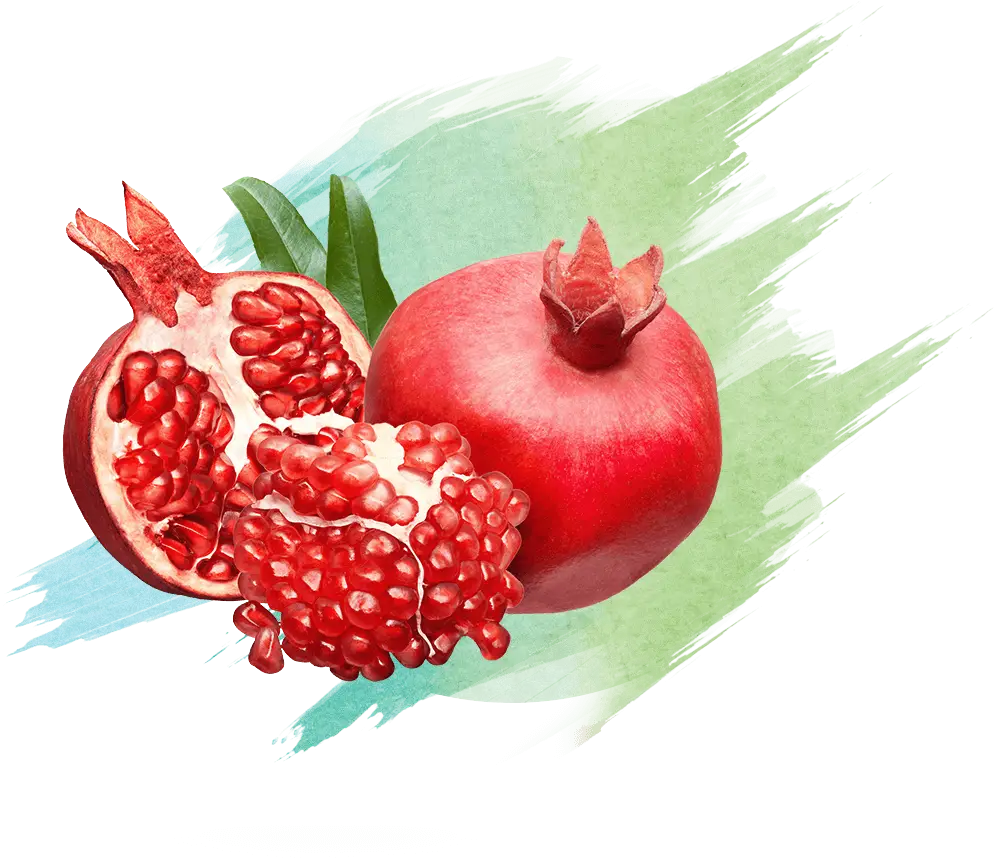 Vibrant Pomegranate Watercolor Illustration