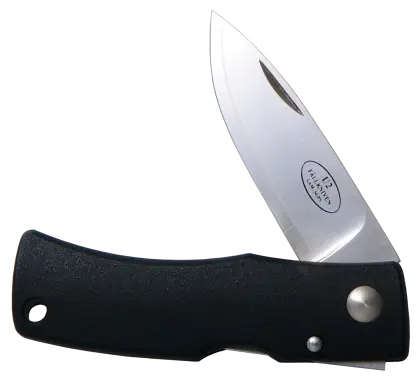 Compact Folding Knife with Black Handle