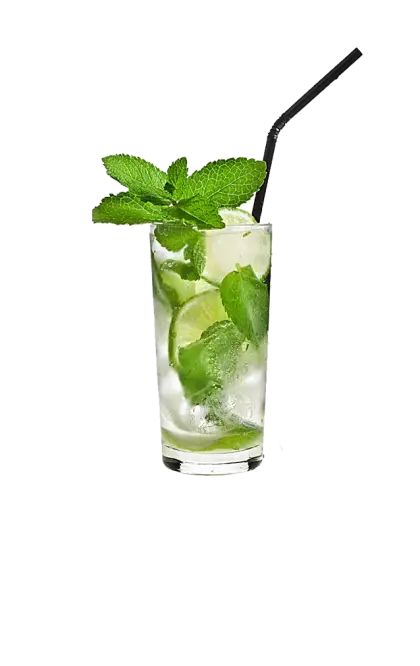 Mojito with Mint and Lime in a Glass