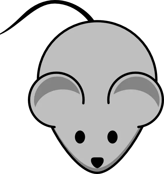 Simple Gray Mouse Icon Illustration