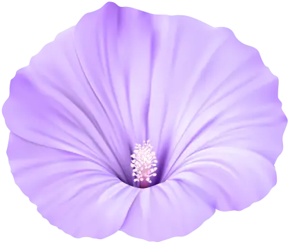 Elegant Purple Flower