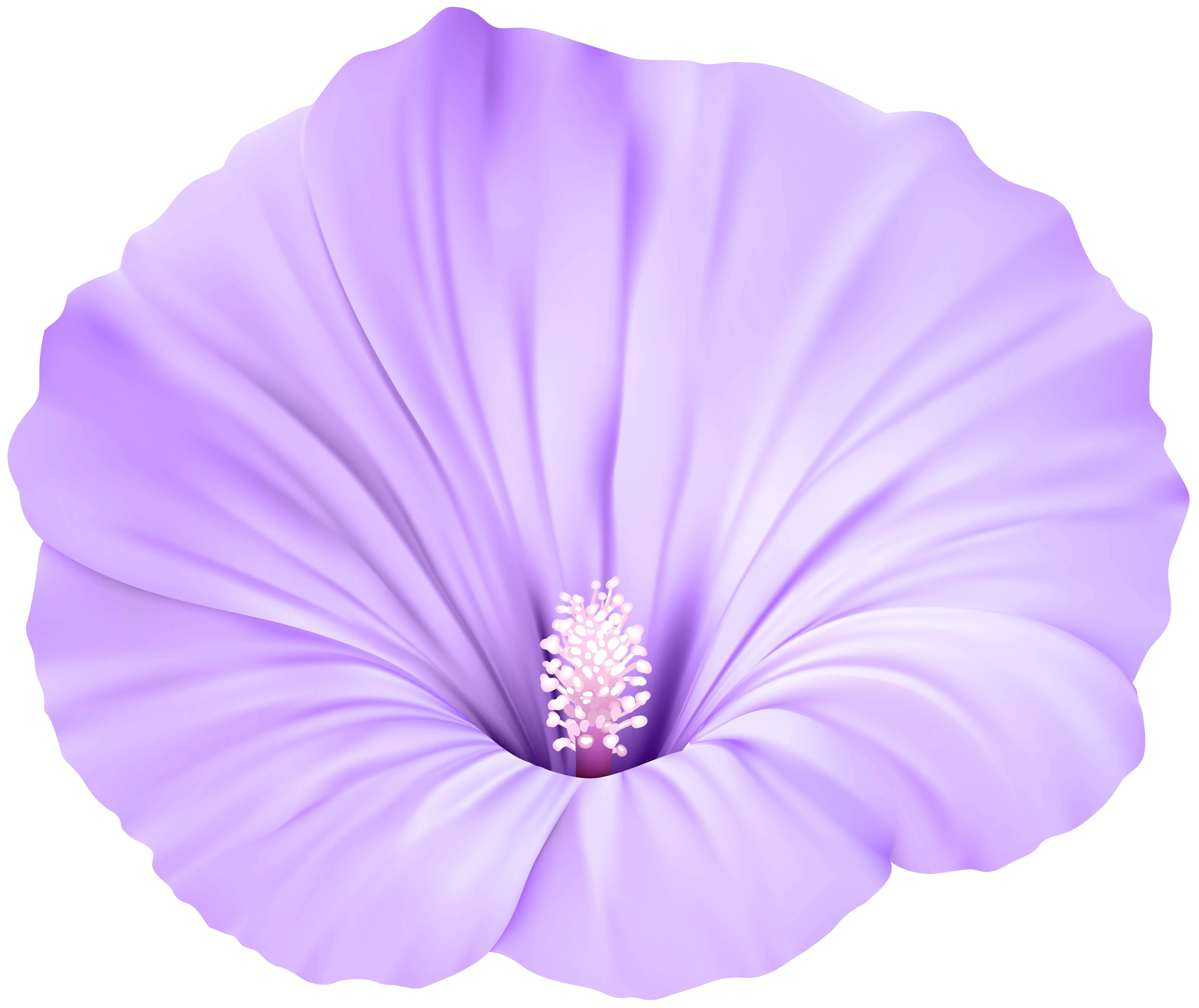 Elegant Purple Flower