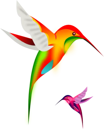 Colorful Hummingbird in Flight
