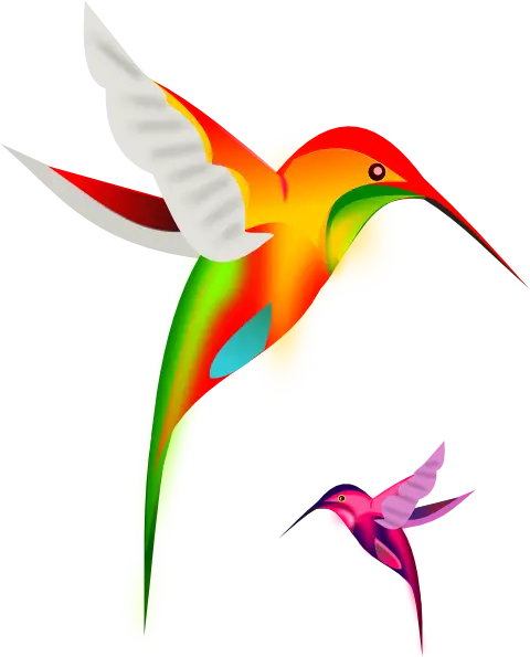 Colorful Hummingbird in Flight