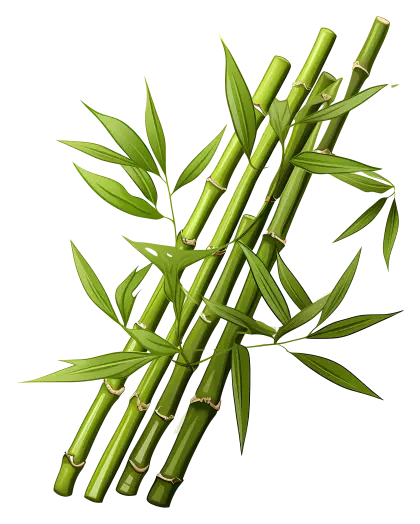 Green Bamboo Stalks and Leaves