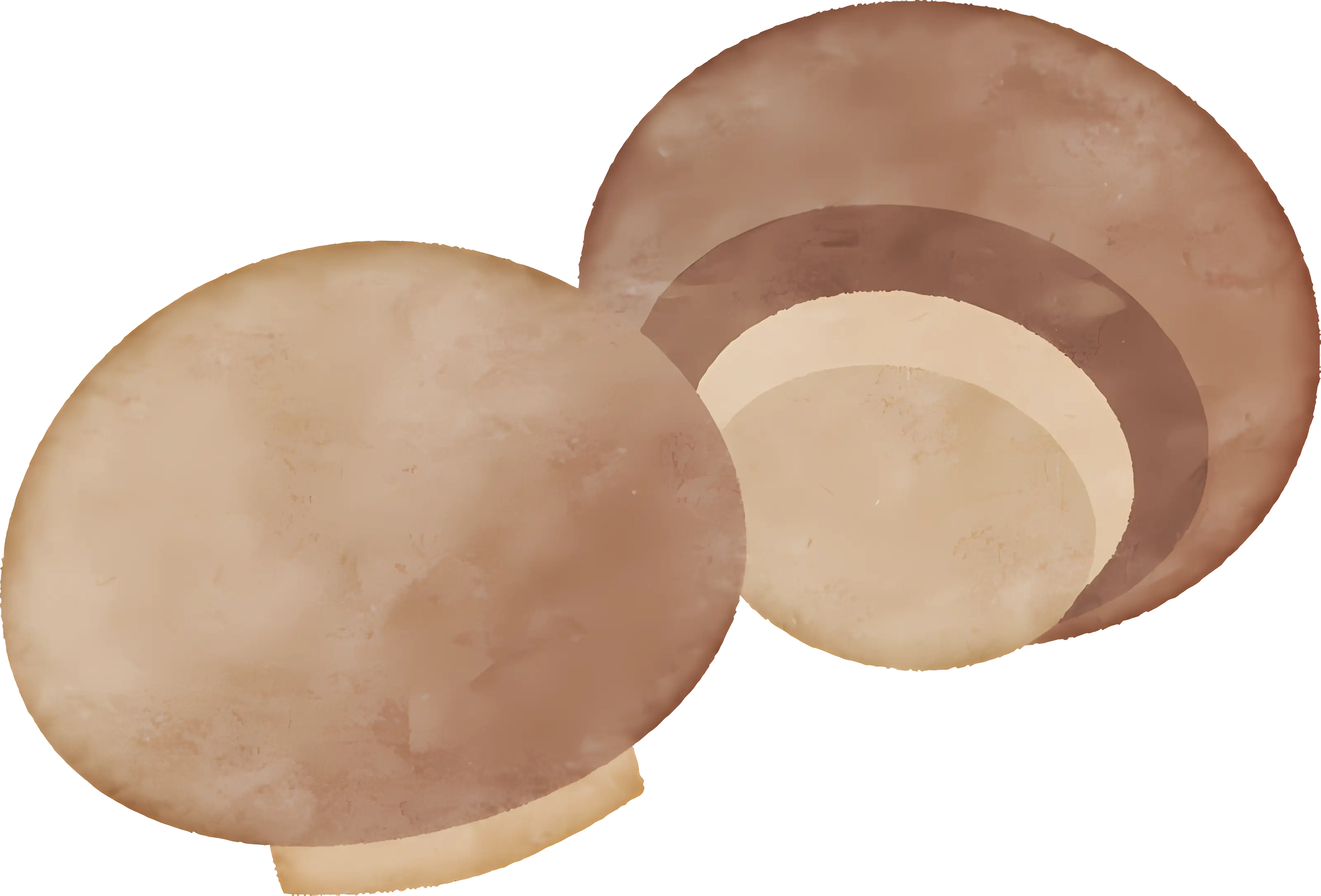 Brown Mushrooms Illustration