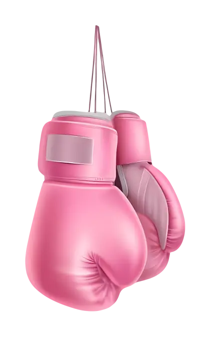 Pink Boxing Gloves Hanging