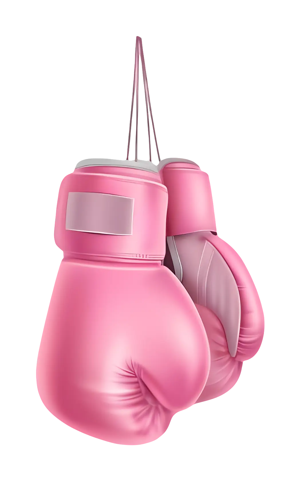 Pink Boxing Gloves Hanging