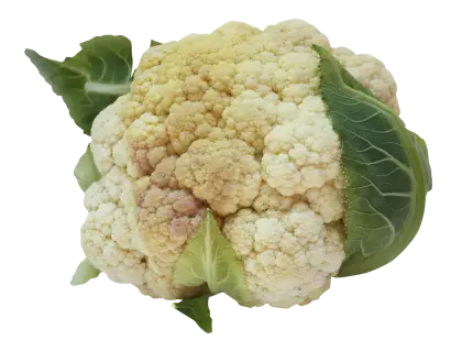 Fresh Cauliflower with Green Leaves
