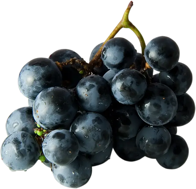 Fresh Black Grapes Bunch